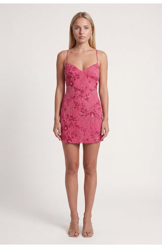 Figurbetontes Party Mini Kleid Mit Stickerei - Cecile LavelleRosa