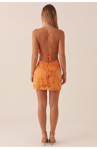 Figurbetontes Party Mini Kleid Mit Stickerei - Cecile LavelleOrange