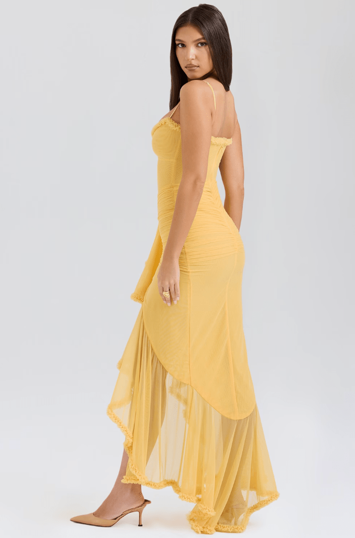 Long-Sleeve Maxi Evening Dress with Ruffles