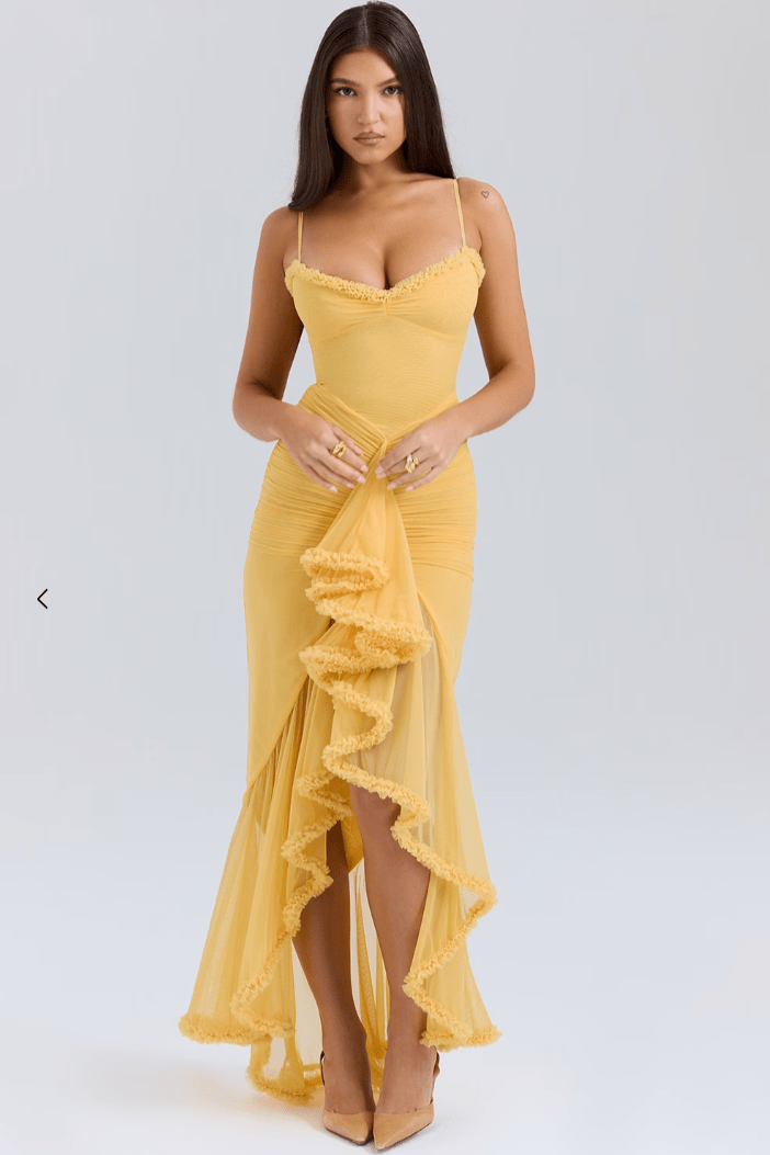 Long-Sleeve Maxi Evening Dress with Ruffles